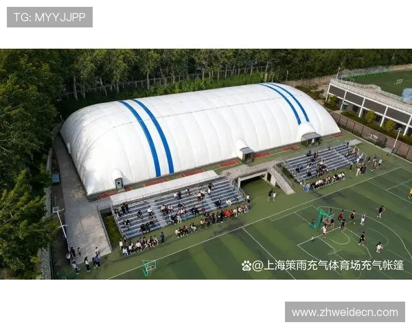 多米体育旗舰厅客户端与其他体育平台的区别与优势分析