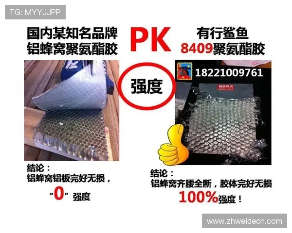 U球体育官网用户评价与口碑分析，了解平台的真实使用体验与信誉保障